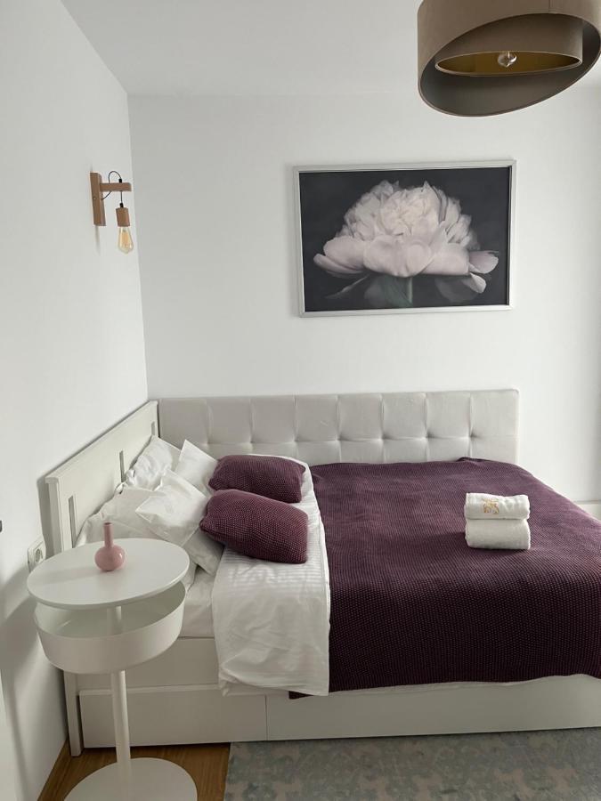 Alma Apartments Suceava Exterior foto